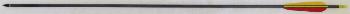 Carbonpfeil