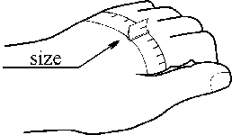 Handschuhebild.gif