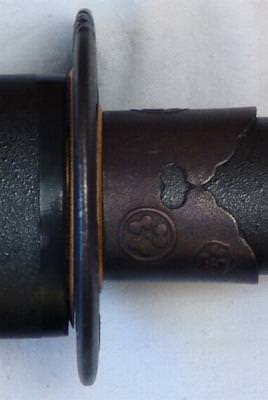 SH1020d.jpg