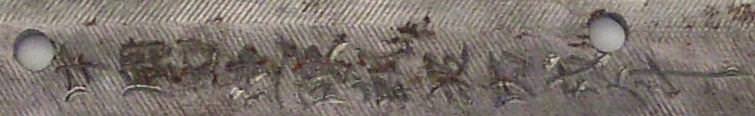 sh6007lffe.jpg