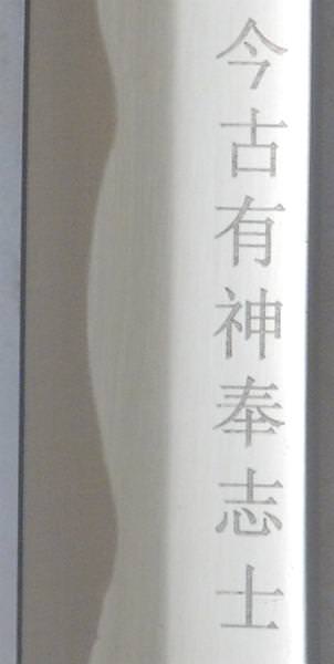 SW-331g.jpg