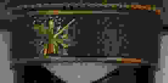 SW320DXg.jpg
