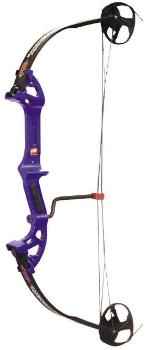 PSE - DISCOVERY 2 Compoundbogen 15 bis 29 lbs PSE - DISCOVERY 2 Compoundbogen 15 bis 29 lbs